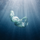 “Her Majesty.” A plastic bag photographed near Shellharbour, Australia, located to the south of Sydney.